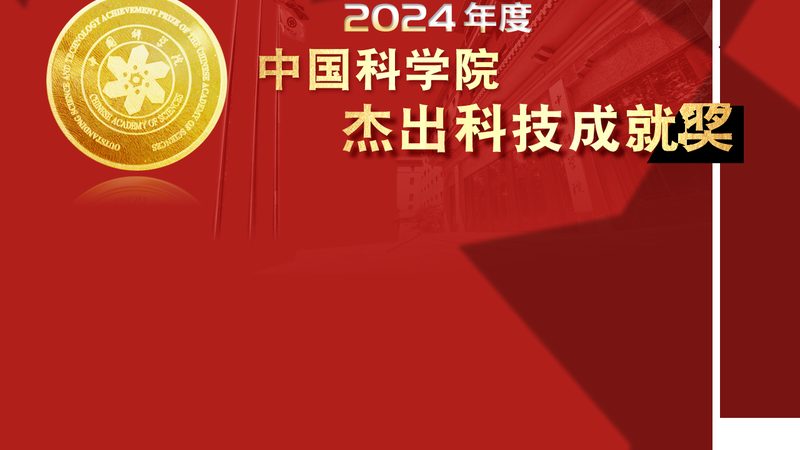 企业数字化平台搭建：价格背后的考量因素**